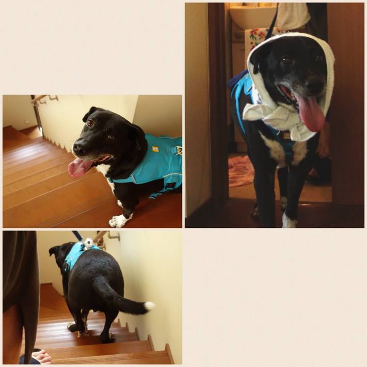 6c757137 6ac9 4291 aeb1 f465465a3918 1690454361719