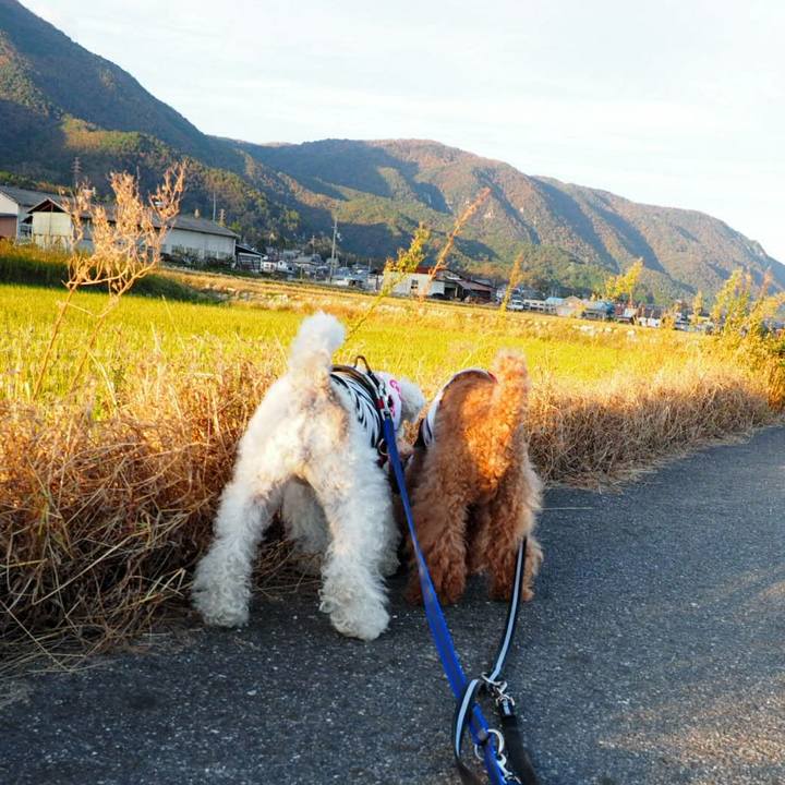 6c7574ba 4902 48e6 adce 24894174576d 1510544577184