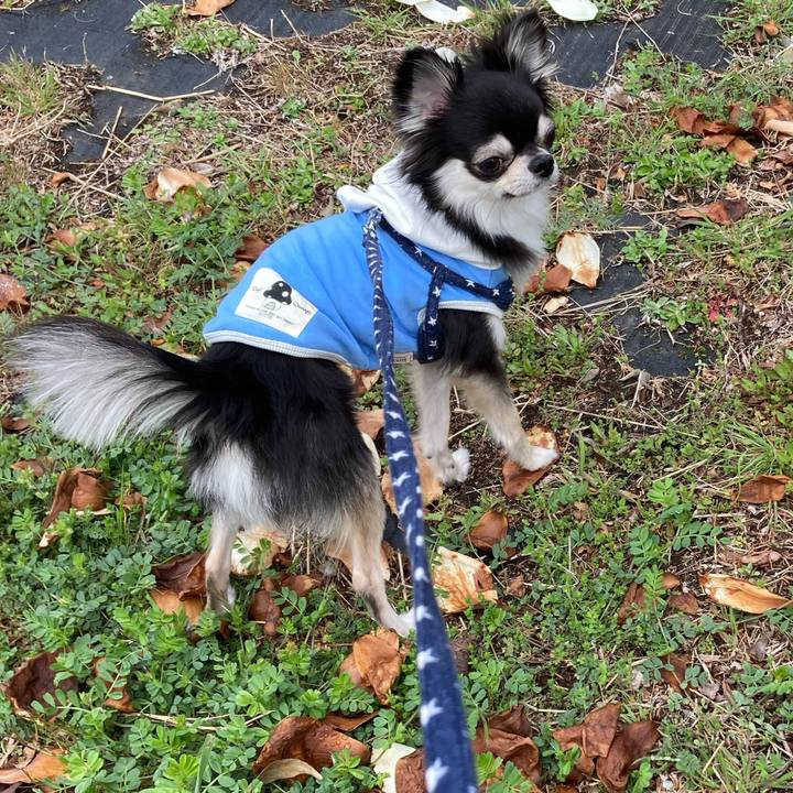 6c7576b3 6d9c 42c2 9dc0 61330de30ce6 1648363206383