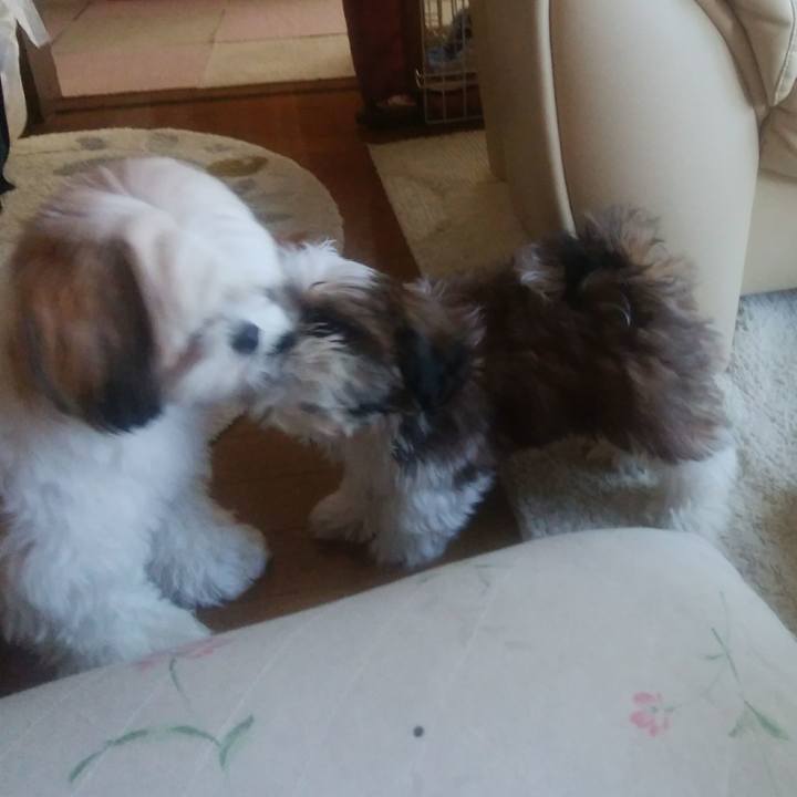 6c75c4d0 ebd9 44a6 bd6a b1d93046e492 1533810805584