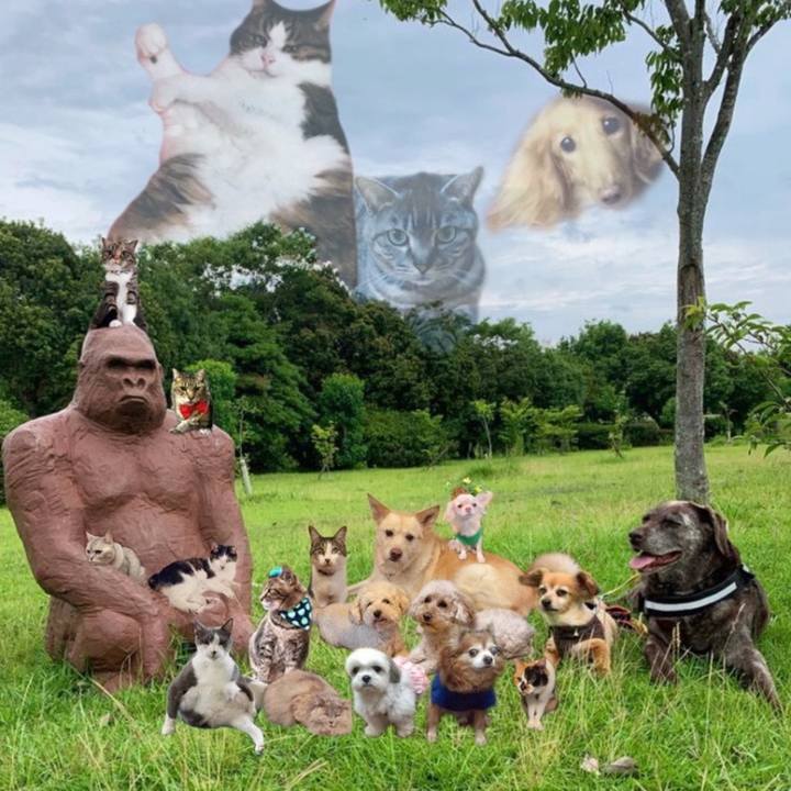 6c760572 5211 4c33 9ce2 f199bae692c2 1624516724236