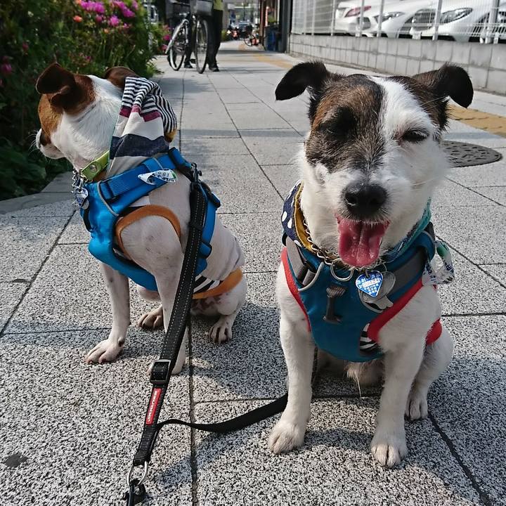 6c76073f d159 4024 8e70 adc37bf3141d 1555911117884