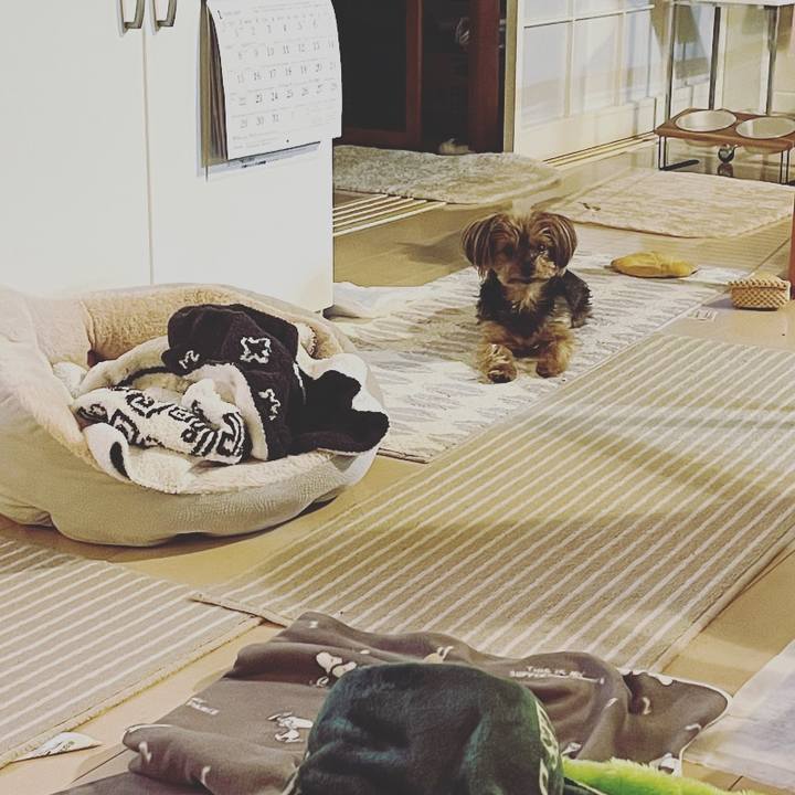 6c7634e2 fb6f 47ac bc3e e3570ff9d888 1673342447604