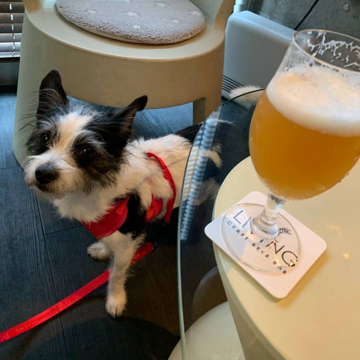 6c763e25 c806 4bf0 9878 73e333d7562b 1647067945356