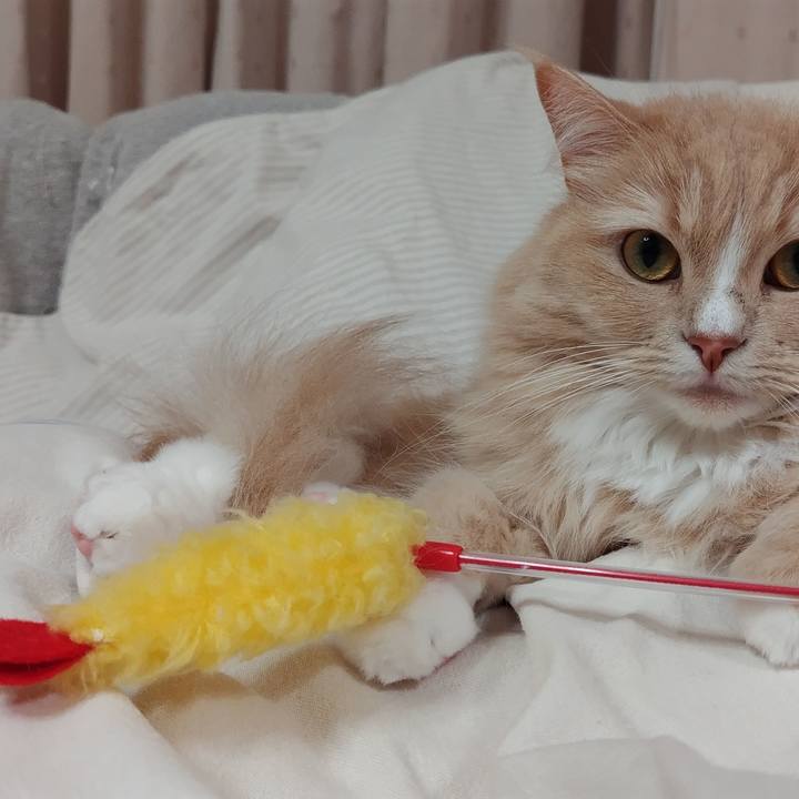 6c7652c1 f7d7 4e63 a49d 9268e6e63e98 1709205481856