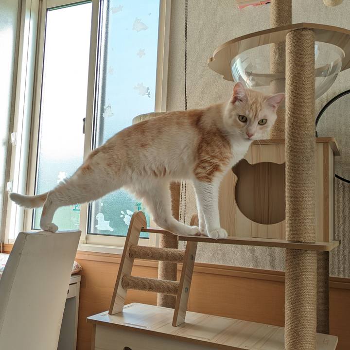 6c76a31b d8fb 4c8e 9de6 2d7b58f7c96b 1695082368865