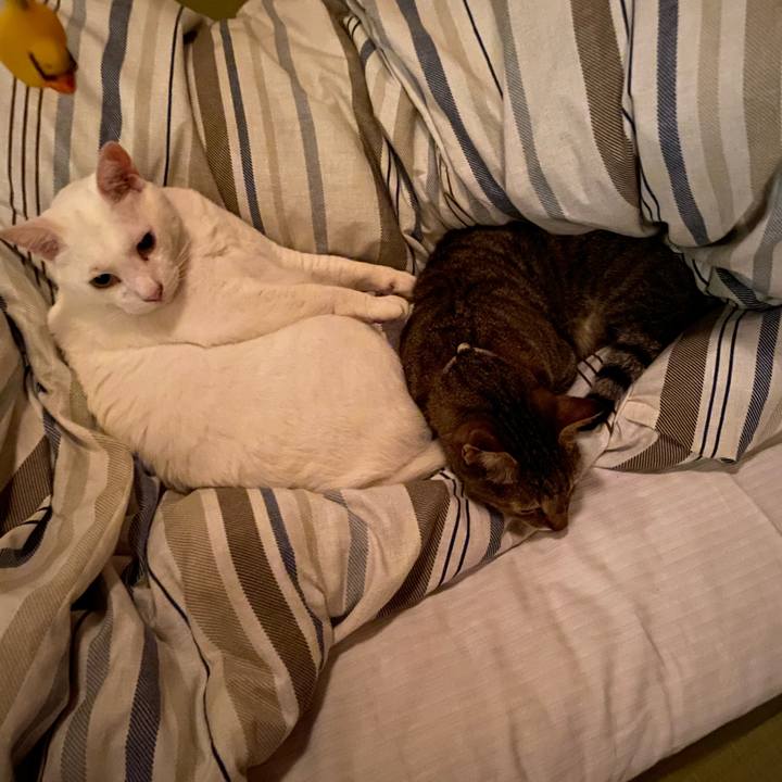 6c76d40a 2dac 4193 b309 6ef1eac332c4 1600009782652