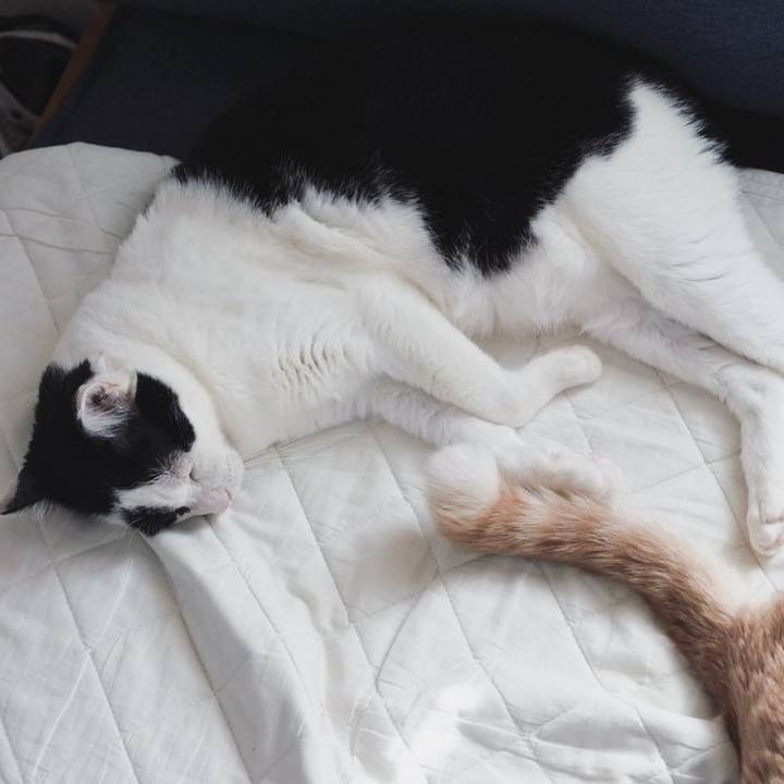 6c76efb4 6627 48ec af1a dfface31292e 1722850304780