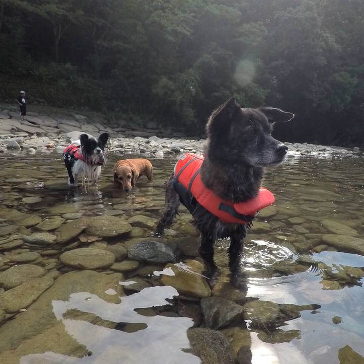 6c77182f 5ba5 48d7 a0d0 cfb27da249e1 1596981228065