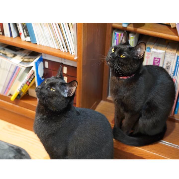 6c7733c3 3aac 4747 86f0 169493328952 1588079365113