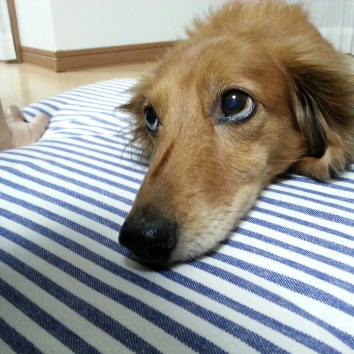 6c779ed1 b9b6 4f15 a168 f44c7283811f 1548164253290