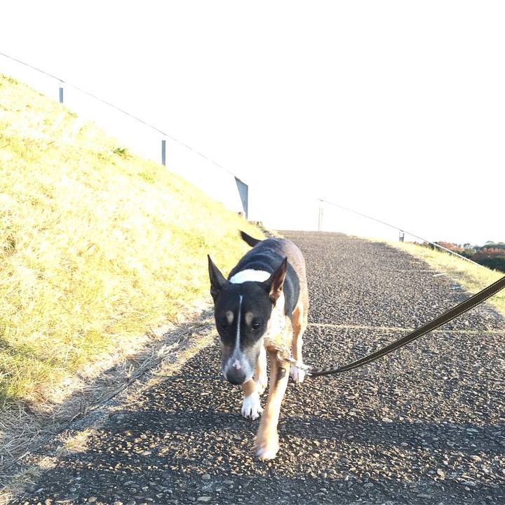 6c77b2fa ac65 481b 9dd3 627d0236a9d1 1512198826381