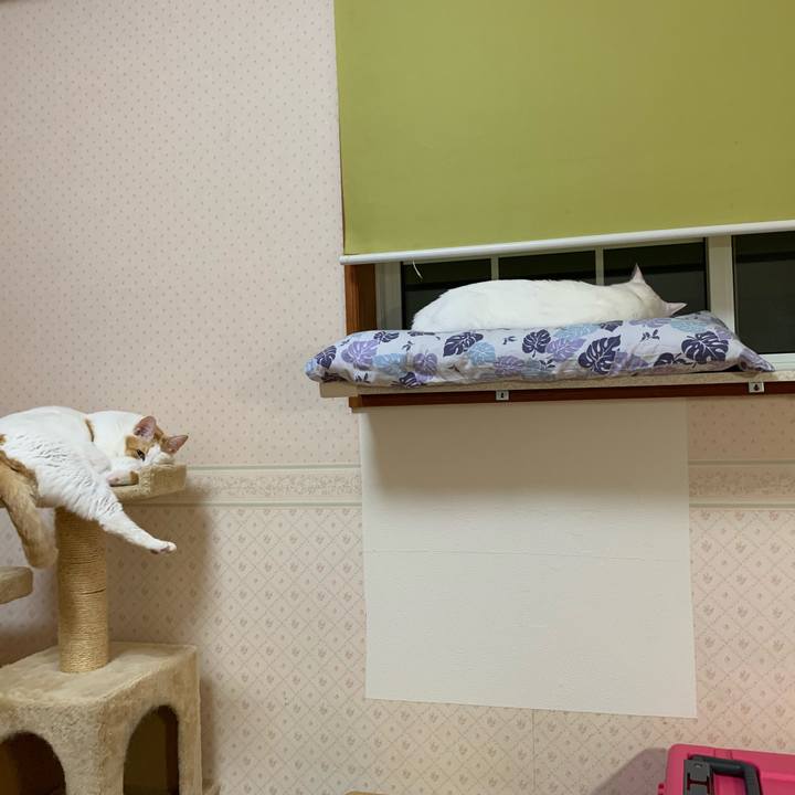 6c77b62c e19a 4c1c 9e9e f87c697d81b0 1634677324192