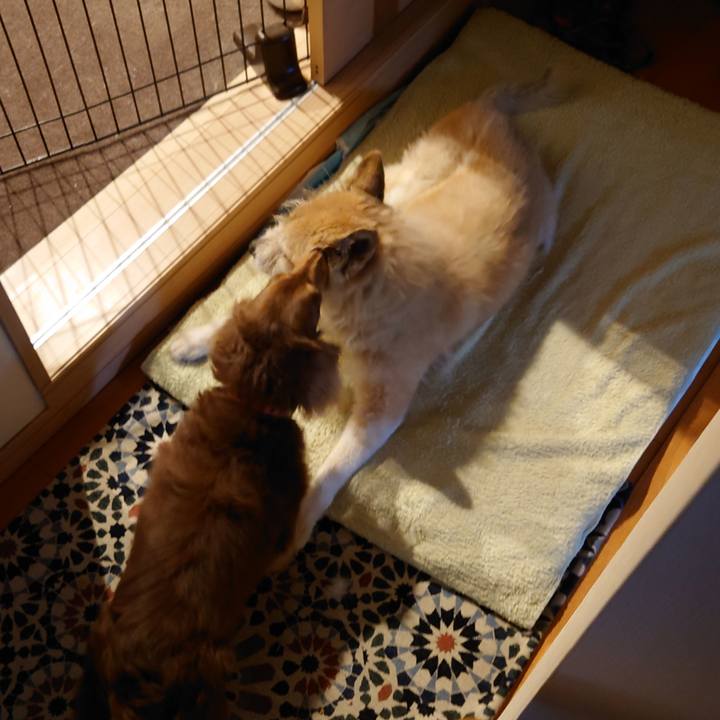 6c77c687 3a87 4a15 a1aa 25596f77fc29 1622072007927