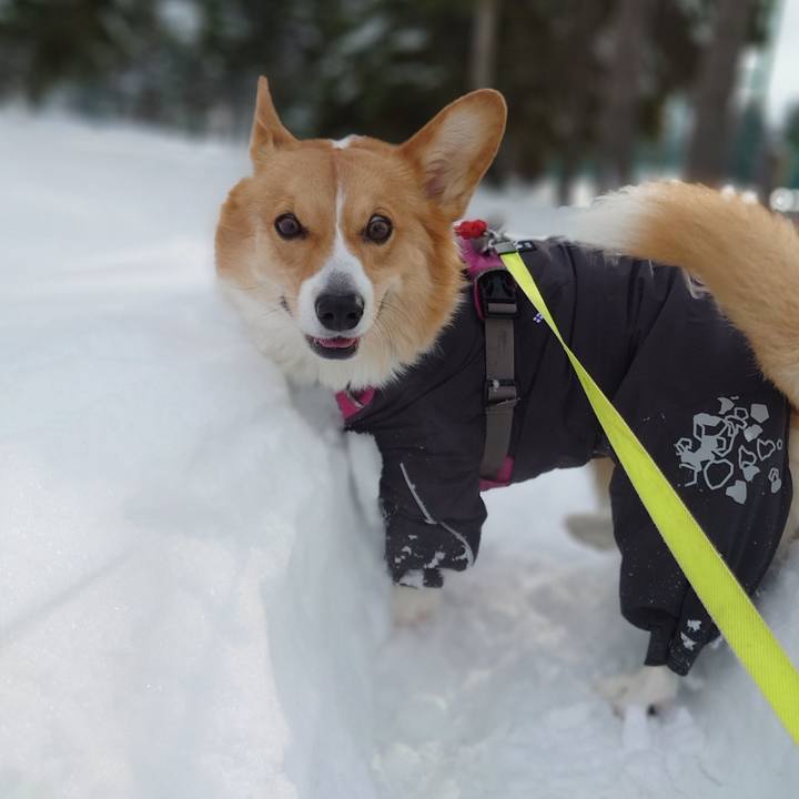 6c77ff7d 0695 41a4 bea6 5b145cd8cead 1768015876343