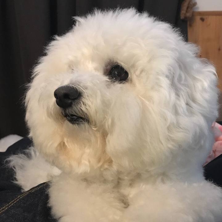 6c7831ba 290d 494d 8e6d d390533be865 1556698310322