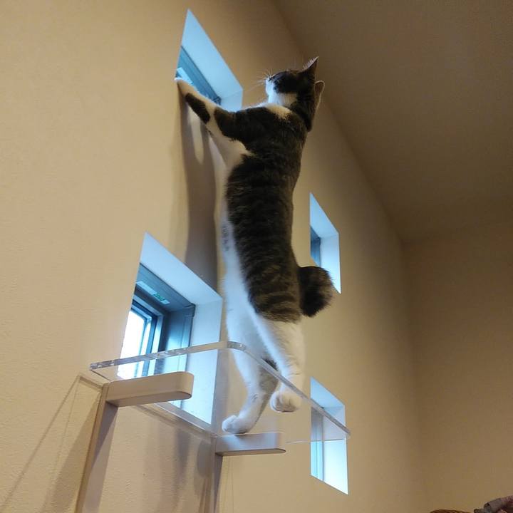 6c784504 2c4a 4e8f aebd 0819314432c1 1571987704094