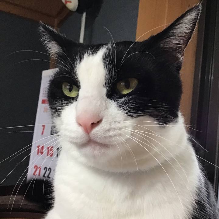 6c785401 831a 4c44 b2a9 d685b7436c66 1721807217850