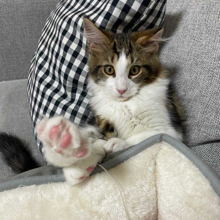 6c788df7 f886 4b68 bf86 62c860bd82bb 1633689130037