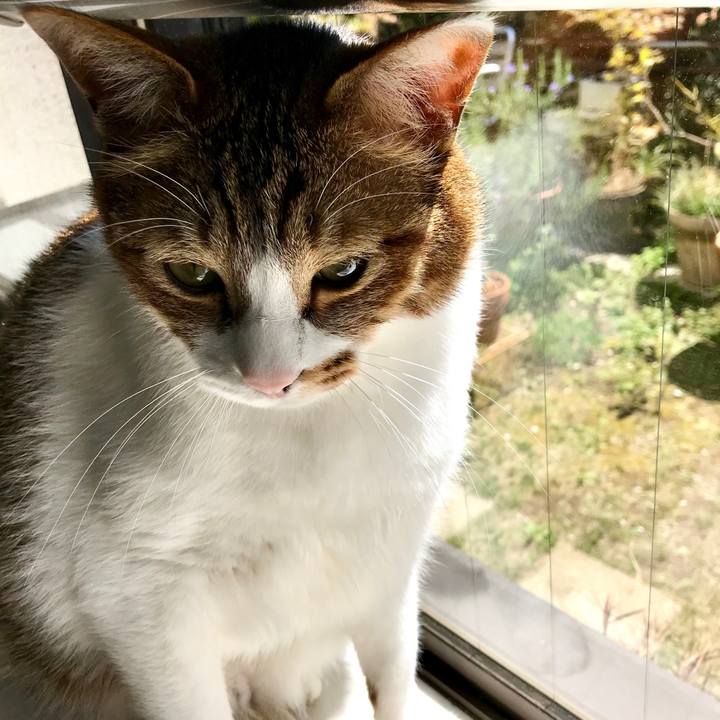 6c7897d2 1481 42da 9c3a 1451a32c17ff 1554353960892