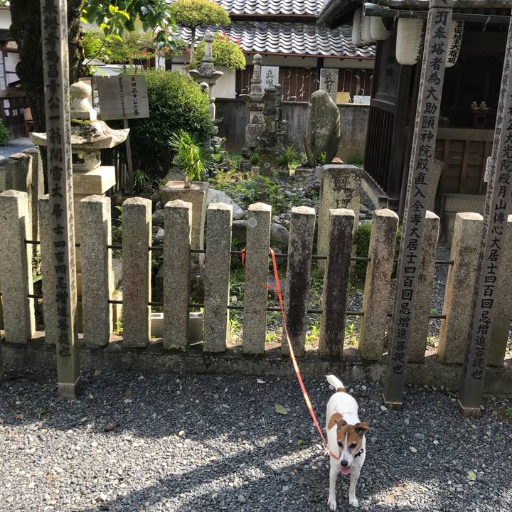 6c78a82e d502 48c7 b778 c7c8e6227231 1529268792722