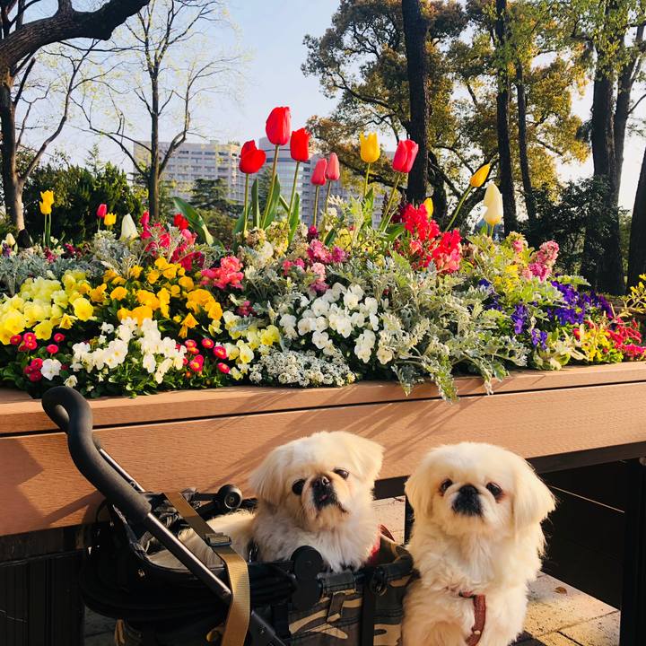 6c78b3eb 3d39 45da 9523 31904e2ab50a 1586479897484