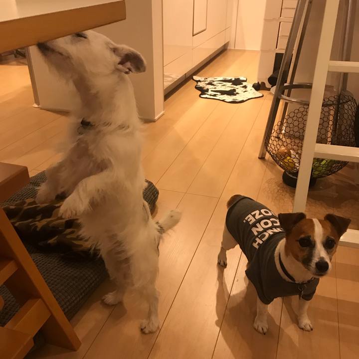 6c78dd91 f940 4bd9 a5c8 fa9fd783dbab 1537615408391