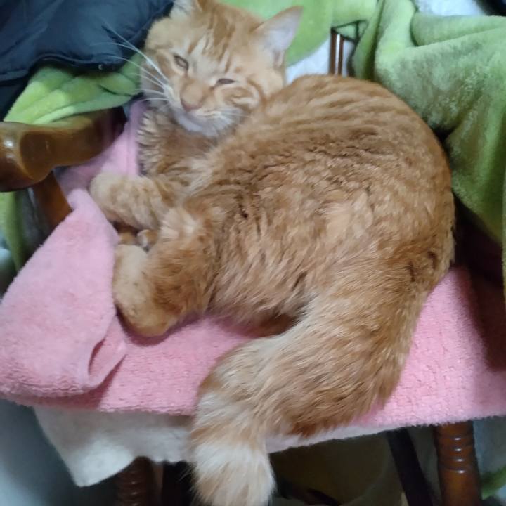 6c790eaa b85c 4a1d 8332 8e83533b33ed 1671070926486