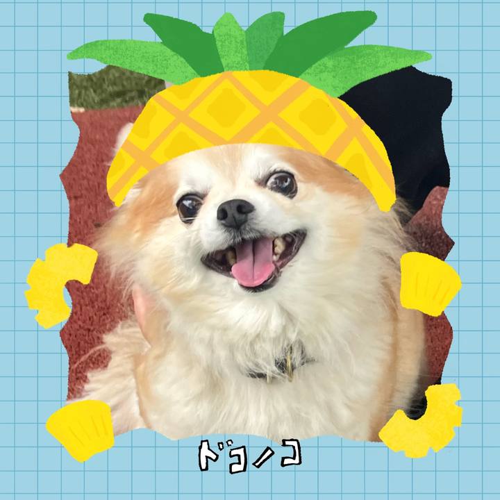 6c7912b8 3d77 4001 91dd e9198f620a10 1783436247886