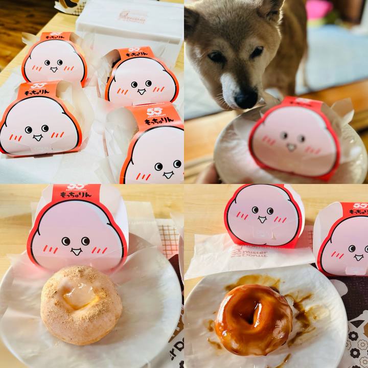 6c791f55 06b8 40f9 a5a9 7300051d2099 1751003819225