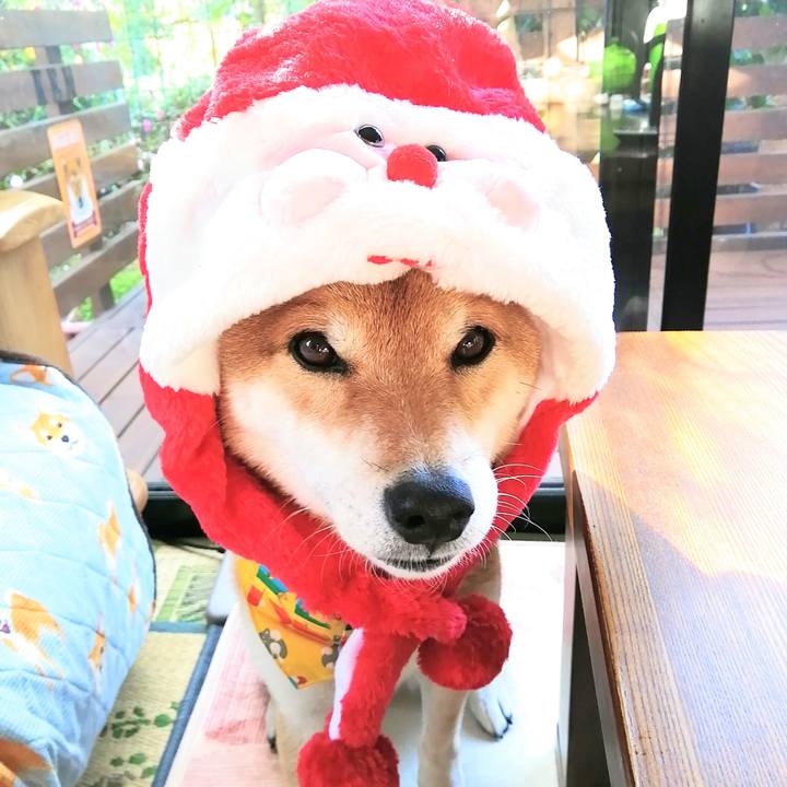 6c79328e 94d6 4ce8 af1f 13a9c2900f2f 1636941234916