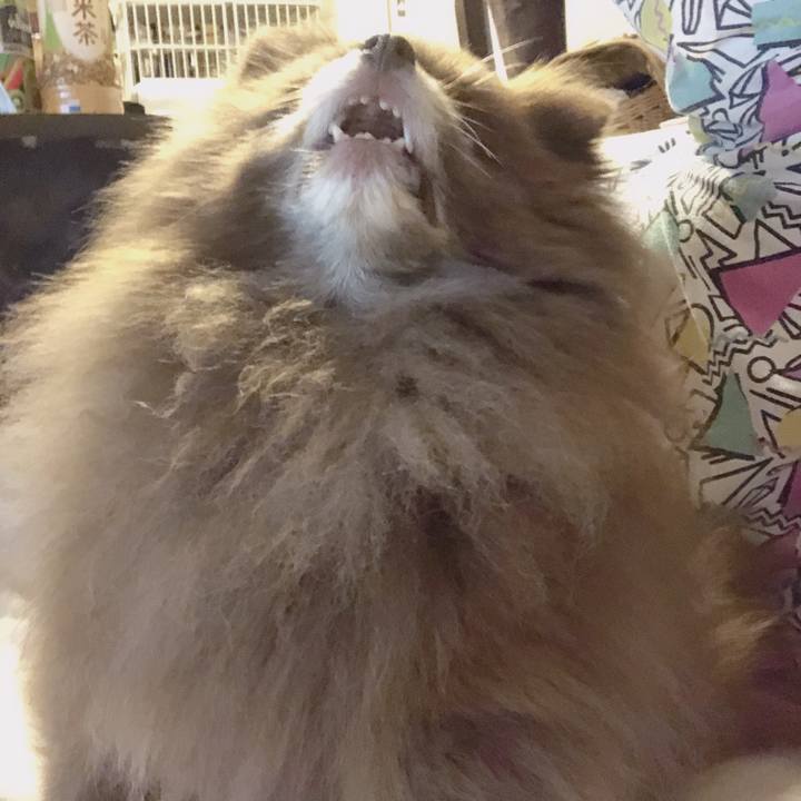 6c794906 9522 4461 9ced 6a15a031bcca 1553085324892