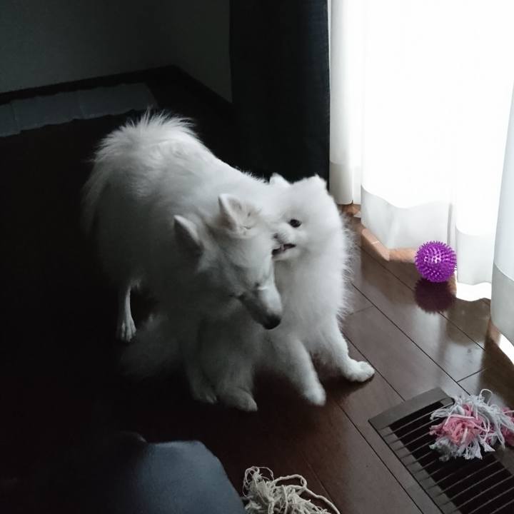 6c795860 f247 4b2f 849c e632b39b9987 1548199408453