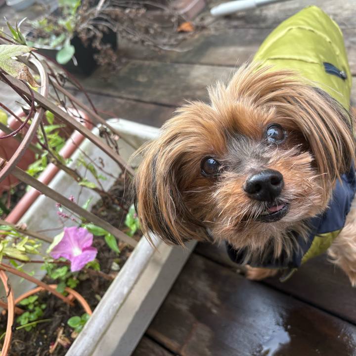 6c797d22 3d09 4b47 8924 a8482e4ad558 1729552280113