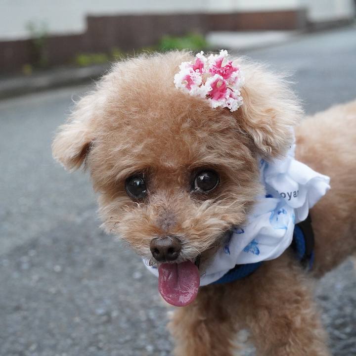 6c798145 8a3d 4cc0 b974 bd39b46e8f12 1659392725999