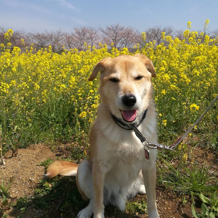 6c7982f0 0564 4d1c 8474 6367a040bf48 1522118842101