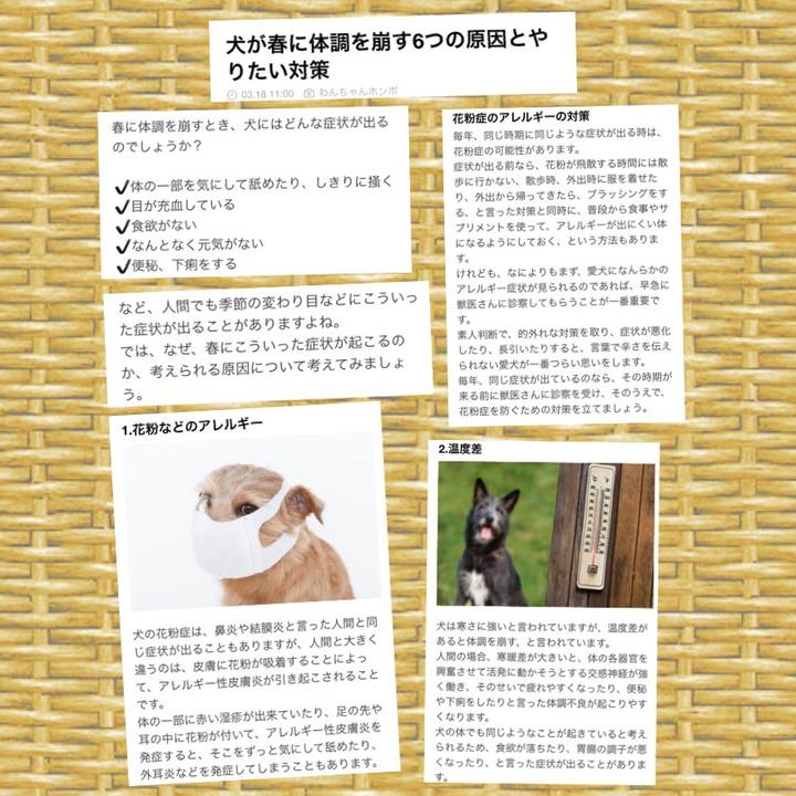 6c798547 61ba 46fe 8c4f 52945efa56a6 1521386669545