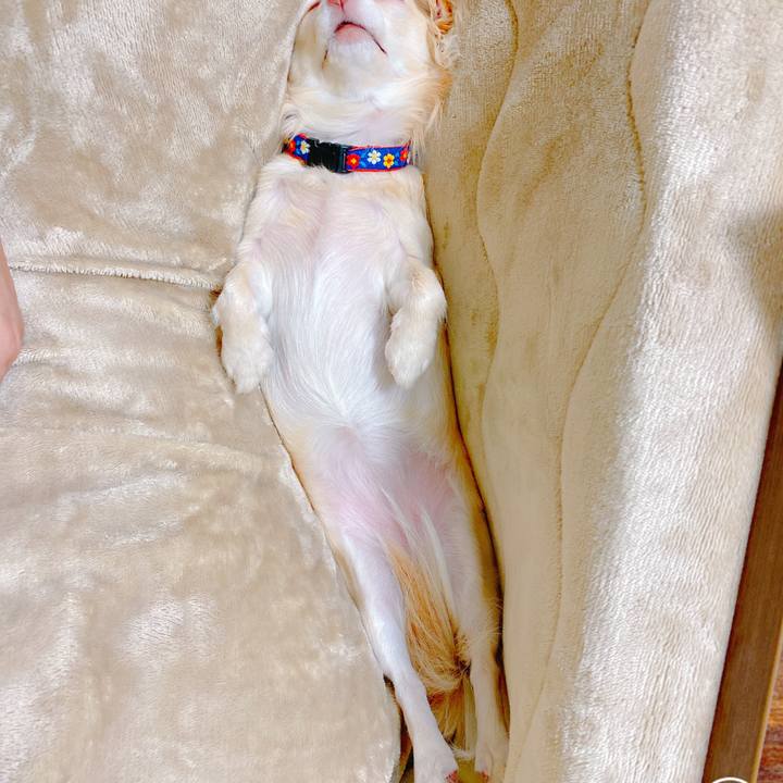 6c798b67 c606 43a6 b795 a2b3cda82c58 1637554124447