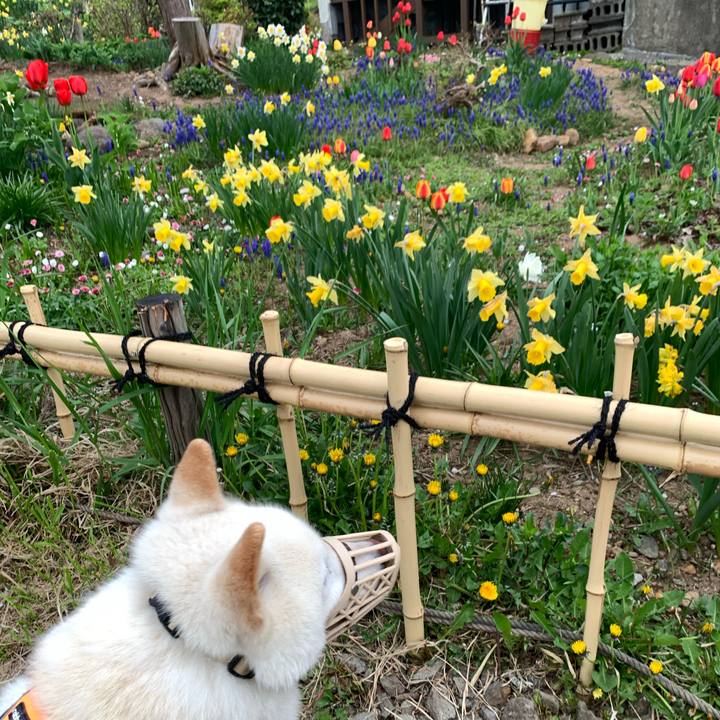 6c799967 9d07 47a5 a206 b581ee90e018 1621115073737