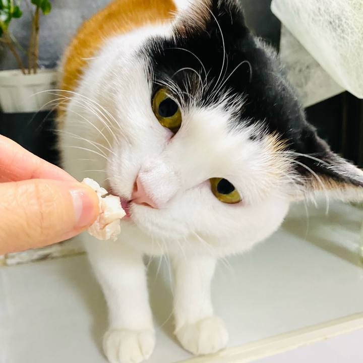 6c79a944 ad39 4005 86c6 6f780c427837 1701168848259