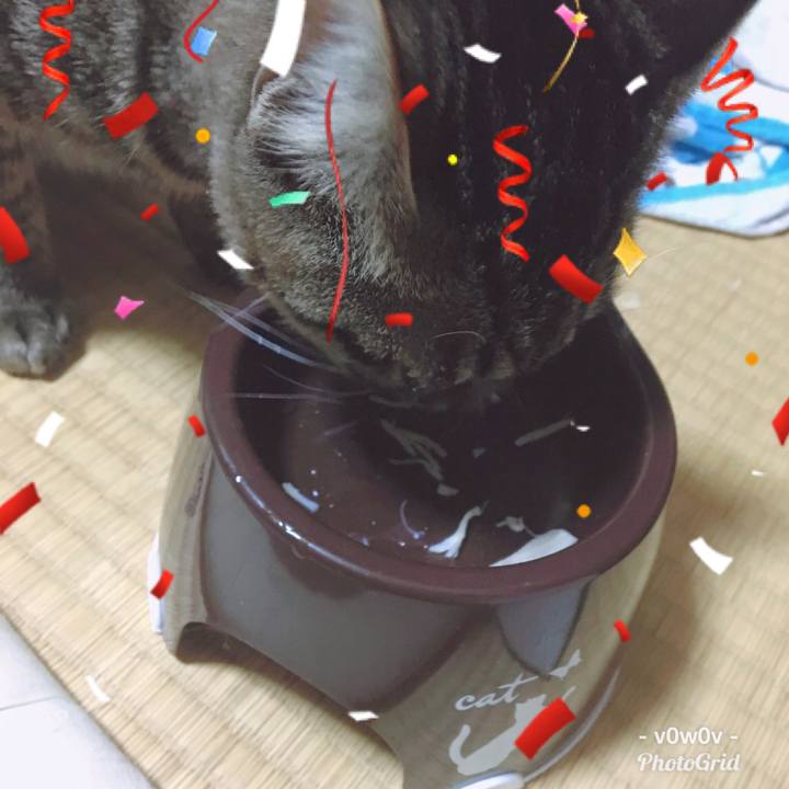 6c79f2e5 b337 433f a5e9 4ad867b5fefa 1546330785268