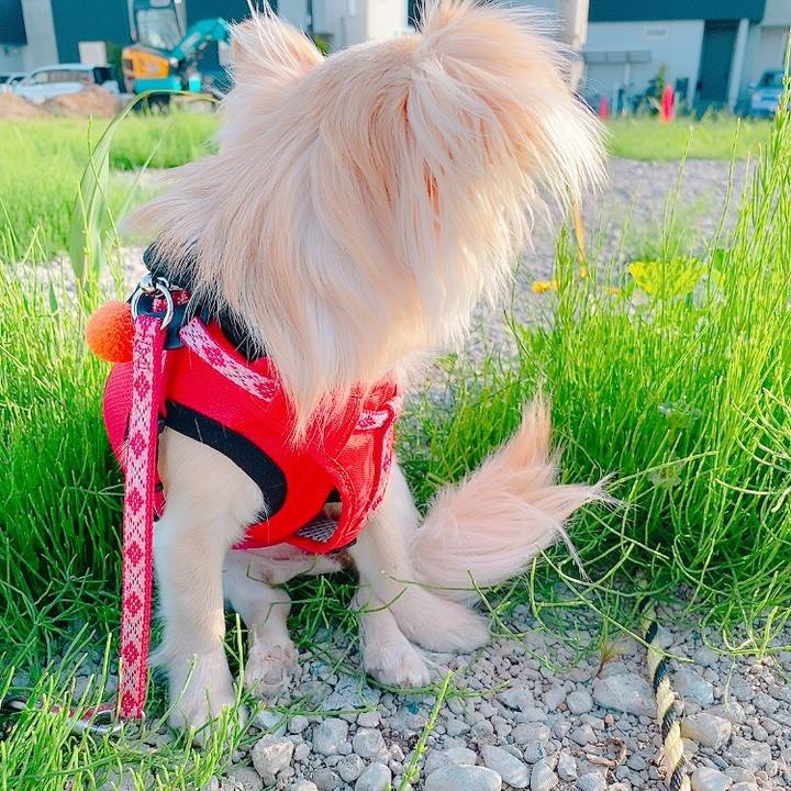 6c79f96f 4c7e 4d01 ba9d e3e42a171d04 1620636663871