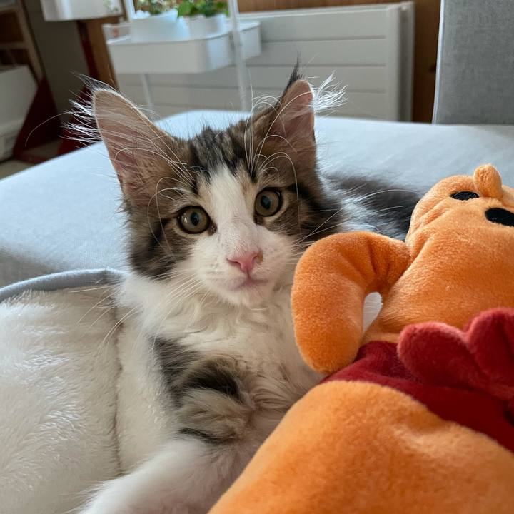 6c7a0196 1191 49d3 a150 3de3e115937e 1632223708756