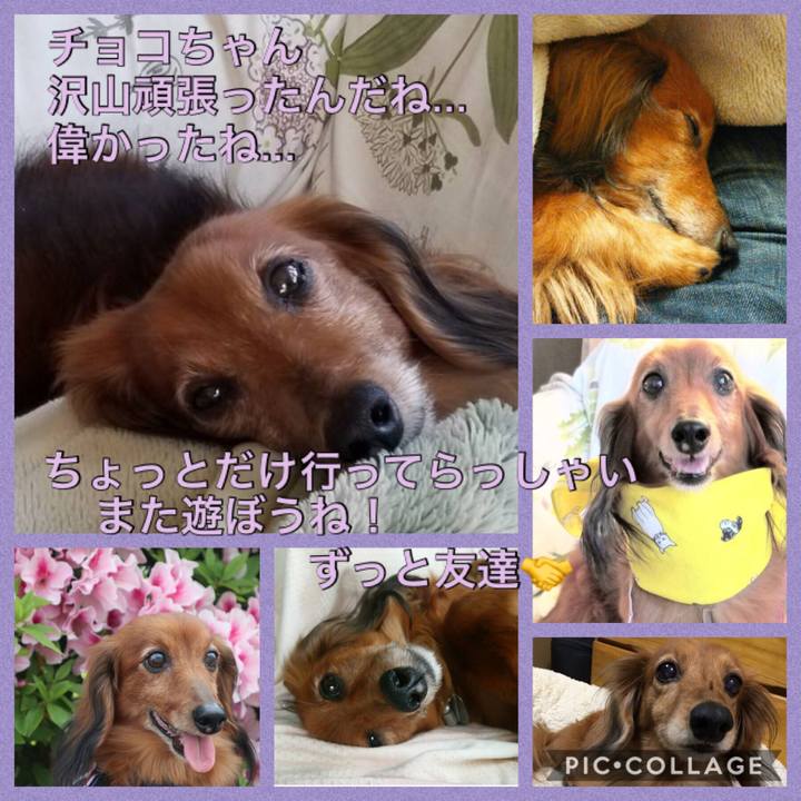 6c7a18b0 0367 4718 aff3 96ff0e140bd3 1556971500665