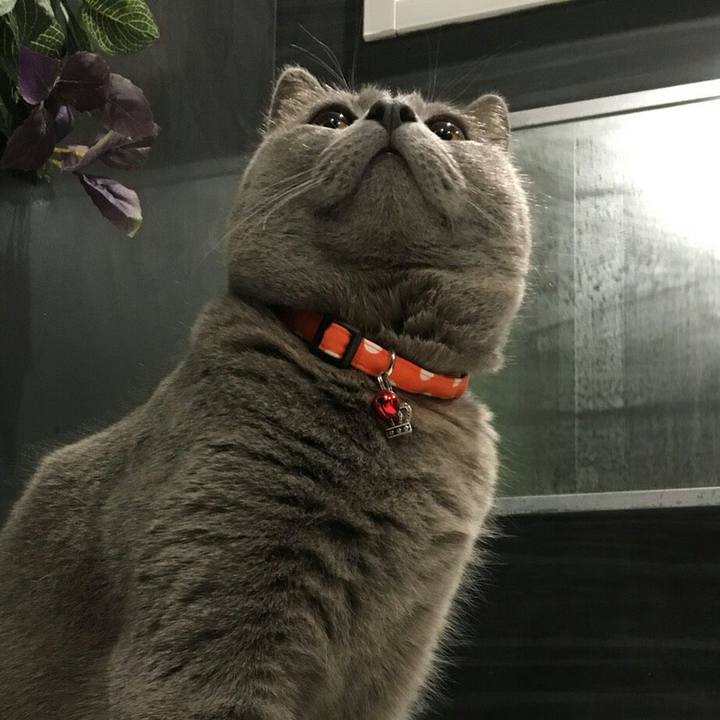 6c7a3b6b ea4e 49fa af57 7c83c5984bca 1517316329826