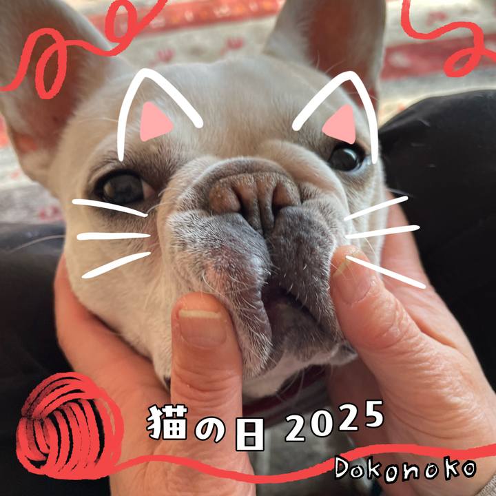 6c7a5ef6 bae9 4911 af4e 0c6fbb8bca3a 1740179001745