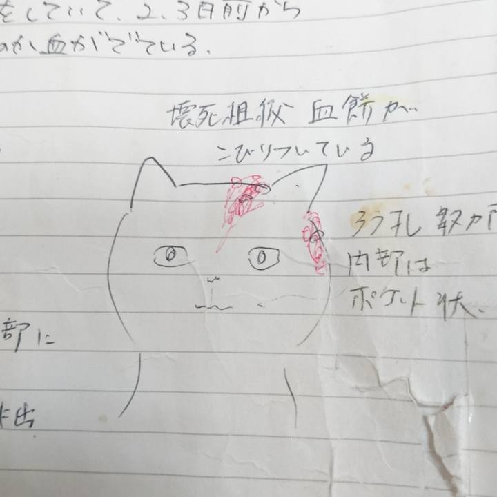 6c7aad20 23b3 4379 a43c 295b5c8cec64 1549710487959