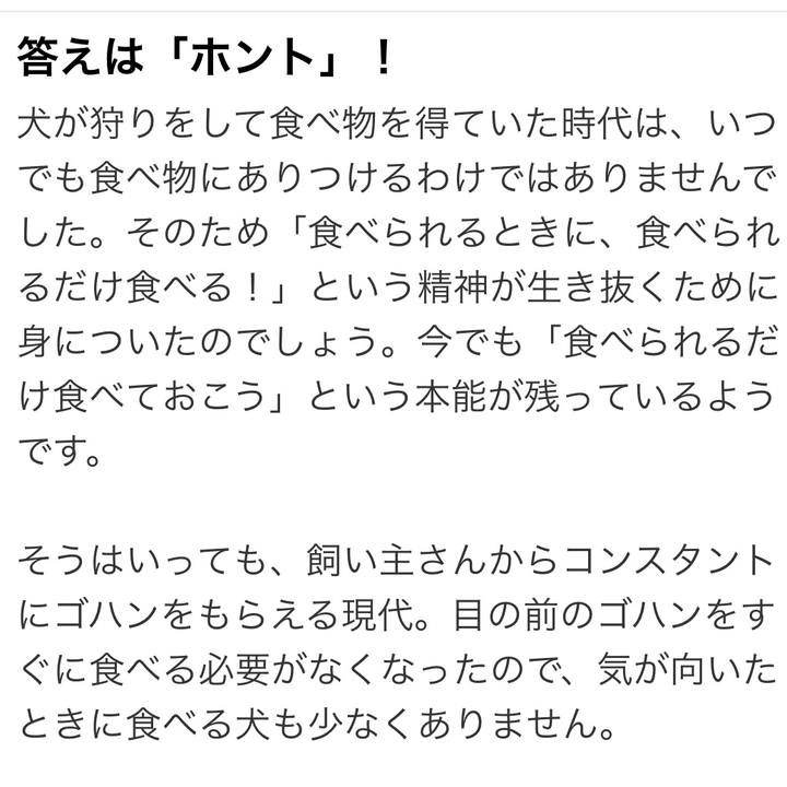 6c7ac10e 31c4 4ef7 8cd7 96e6e1b1a2f4 1537371051952