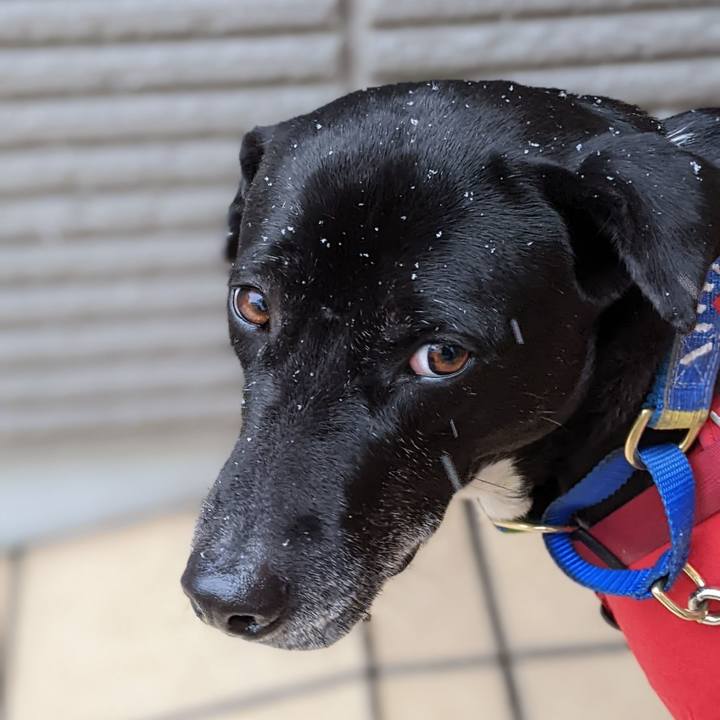 6c7ac153 fafe 464e 853c 2a2dc6ce4511 1675988670605