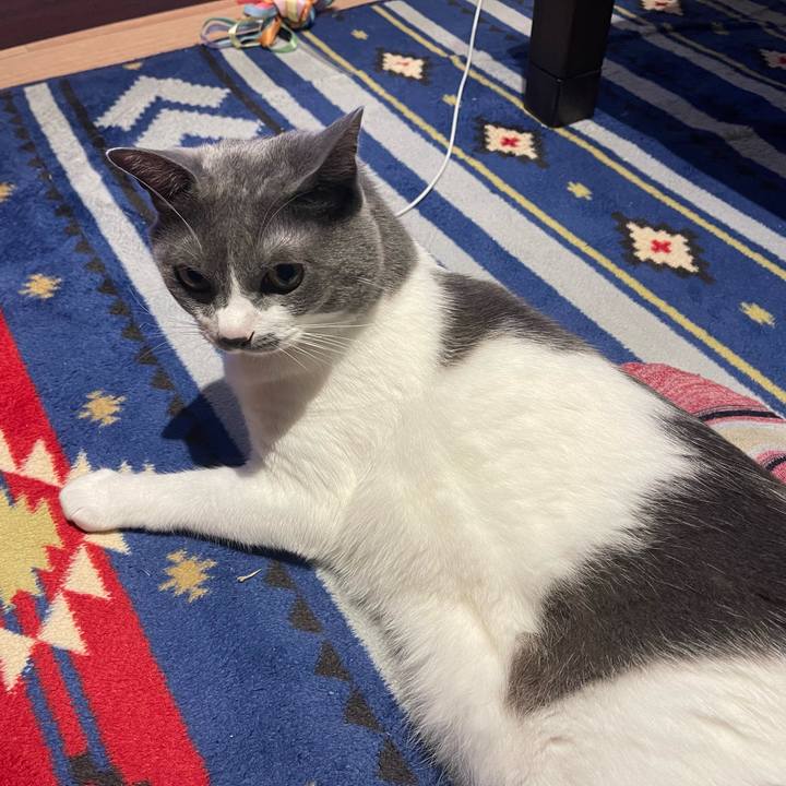 6c7aef1b a244 44a3 9343 3b03558b2834 1665563118263